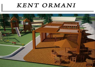 Gökce projelerini açıkladı