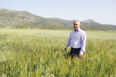 Yağmur Çiftçilerimizi Umutlandırdı