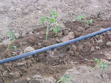 “Projeye Sahip Çıkılsın”