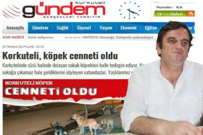 Öldürmüyoruz Uyutuyoruz 