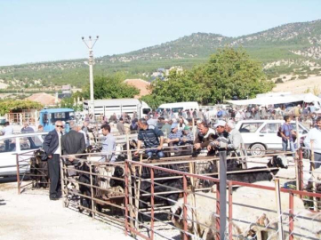 Hayvan pazarında denetim