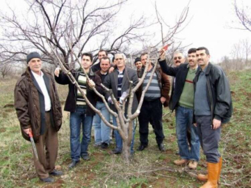 Budama kursları açılıyor