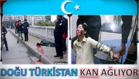 “CANAVARLAR KUTSAL AYDA KAN AKITIYOR”