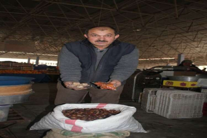 Tezgahın gözdesi kuru kayısı