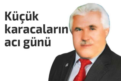 Küçükkaracaların acı günü
