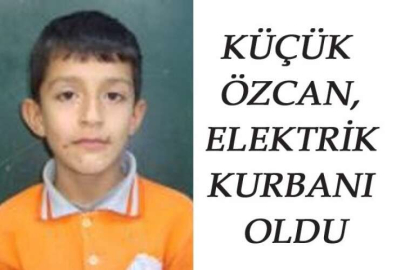 KÜÇÜK ÖZCAN, ELEKTRİK KURBANI OLDU
