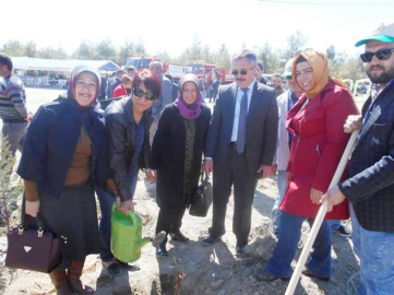 Orman etkinlikleri bugün son buluyor