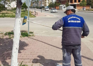 Ağaç gövdeleri kireçleniyor