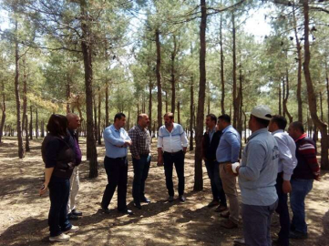 Kargalık mesire alanı hazırlanıyor