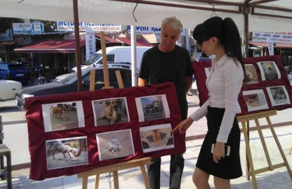 Korkuteli’ nde  sokak hayvanları sergisi yapıldı