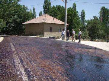 Yılmaz ve Meclis üyeleri  Asfalt çalışmalarını inceledi