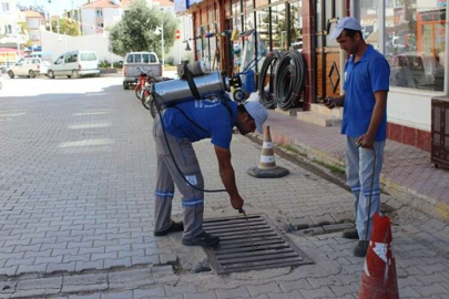 Sineğe aman yok
