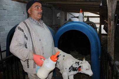  “Üretici isyan ediyor”