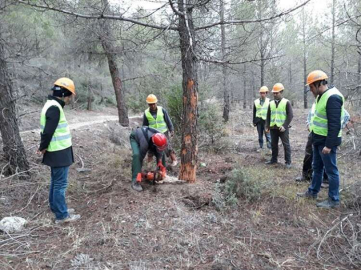 Ağaç boylama kursiyerleri uygulama yaptı