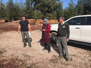 “Orman suçlarında en çok otlatma var”