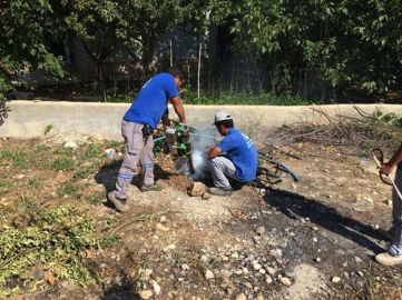 Büyükşehir sinek taraması yaptı