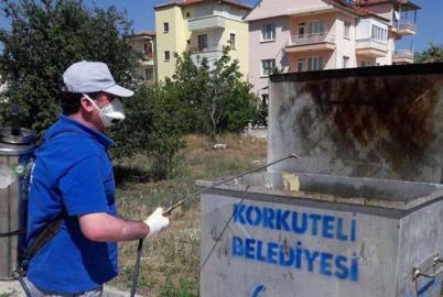 Büyükşehir sinek avına devam ediyor