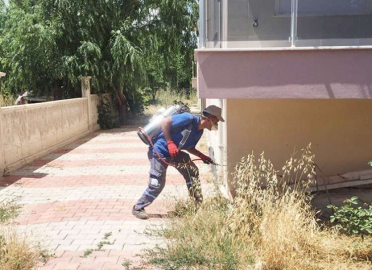 İlaçlamalarımız aralıksız devam ediyor