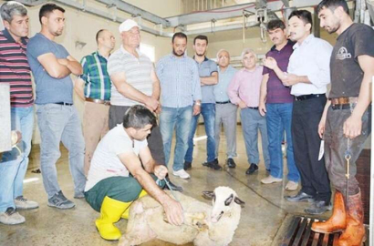 Halk eğitim kurban kesimi kursu açtı