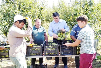 Üreticinin emeği boşa gidiyor