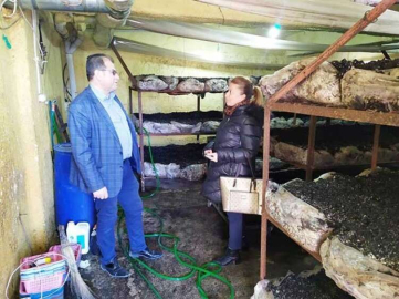  Mantar üreticileri ziyaret edildi