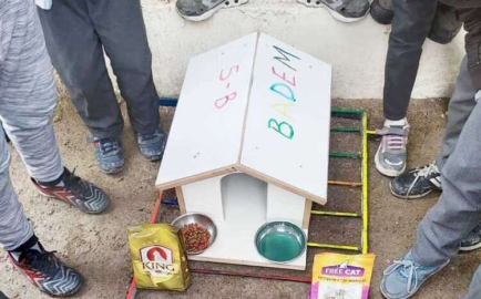 Öğrencilerden okul bahçesine kedi evi 