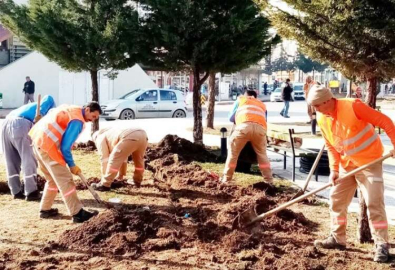 Yeşil alanlar kışlık bakıma alındı