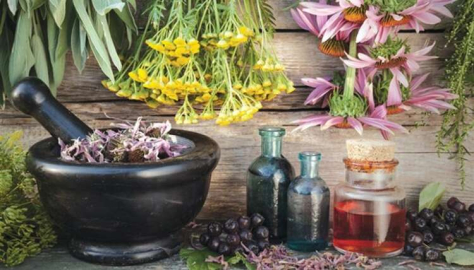 Aromatik Bitkiler Çalıştayı bugün
