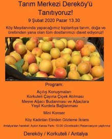 Tarım Merkezi Dereköy Tanıtılacak