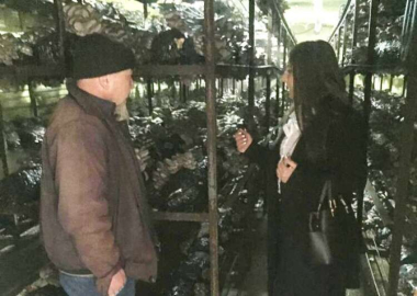 Mantar üreticisi bilgilendirildi