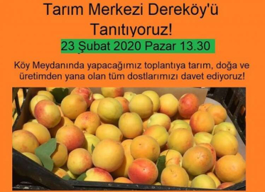 Dereköy’ün tanıtımı yarın yapılacak