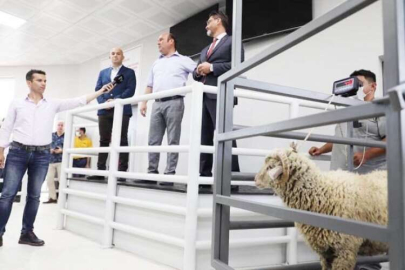 Bin 200 TL ile satışa çıktı 15 bin TL’ye alıcı buldu