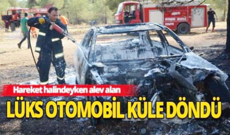   Lüks otomobil ormanlık alanda alev alev yandı 