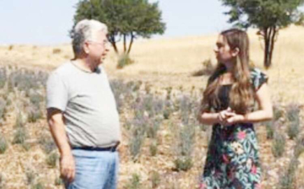 Korkuteli’de lavanta hasadı