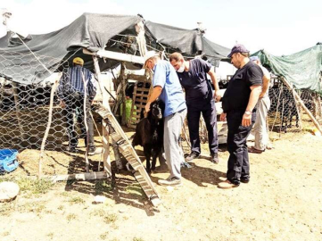 Üreticilere hayvan hijyeninin önemi anlatıldı  