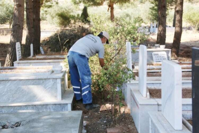   İlçelerde mezarlık bakımları sürüyor