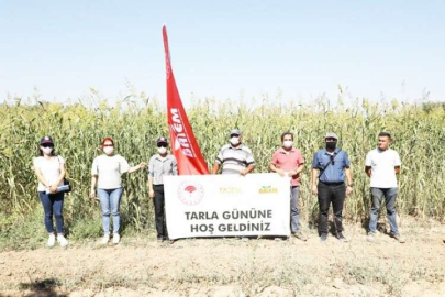 Tarla Günü Düzenlendi