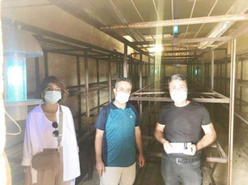 Mantar sineği biyolojik mücadele ile kontrol altında