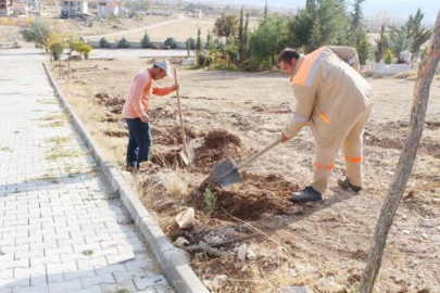 Büyükşehir Korkuteli’de 350 fidanı toprakla buluşturdu