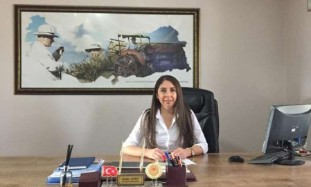 PANDEMİ TARIM İLÇEYİ DURDURAMADI