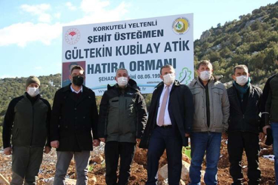 ŞEHİT KUBİLAY ATİK ADINA HATIRA ORMANI
