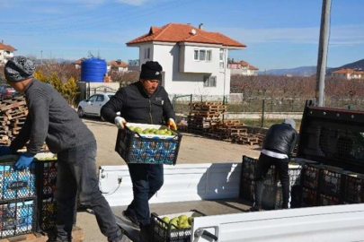  COĞRAFİ İŞARETLİ TONLARCA KARYAĞDI ARMUDU ALICI BEKLİYOR   