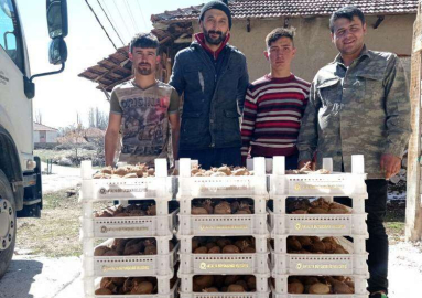 BİYOLOJİK MÜCADELE İÇİN KORKUTELİ’DE PATATES YETİŞTİRİLECEK