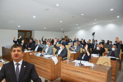  MİLLETVEKİLİ ARI’DAN MECLİSE TEŞEKKÜR