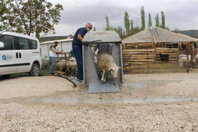 PARAZİT İLAÇLAMA MAKİNESİ KORKUTELİ’NDE