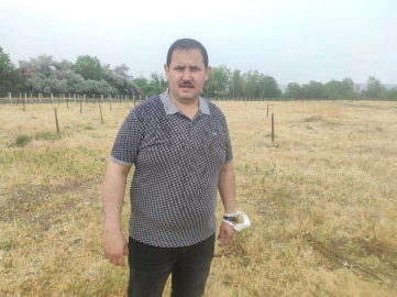 MANAVOĞLU; BİN AĞAÇ KURUTTULAR!