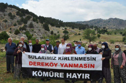 "ÇEVRE KATLİAMI"