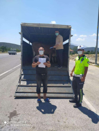 BAYRAM ÖNCESİ KURBANLIKLARA SIKI DENETİM