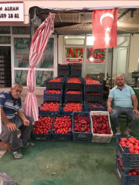 SALÇALIK ÜRÜNLER TEZGÂHLARA İNDİ