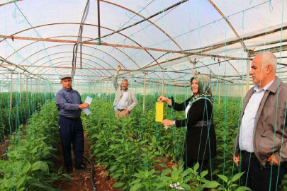 BÜYÜKŞEHİR’İN ÜCRETSİZ TUZAK DAĞITIMI SÜRÜYOR